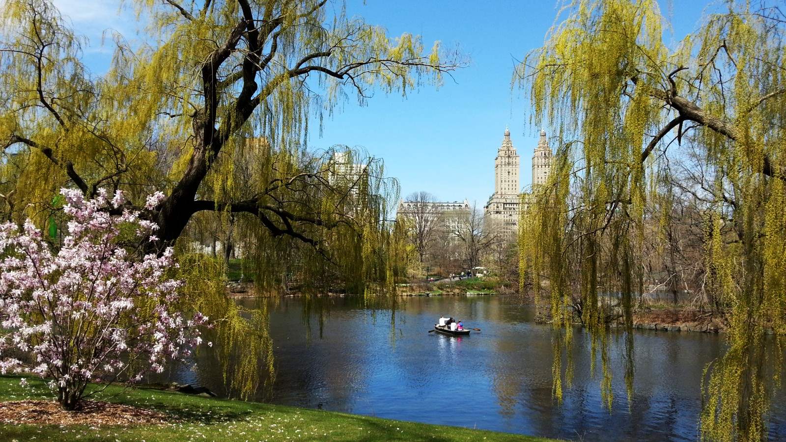 Central Park