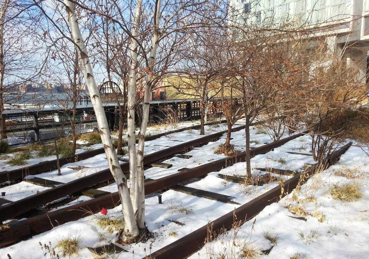 The High Line