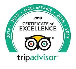 TripAdvisor review