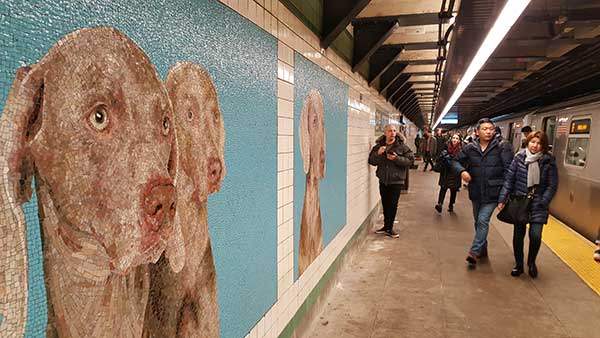 How to Use the NYC Subway: A Step-by-Step Guide With Area Maps